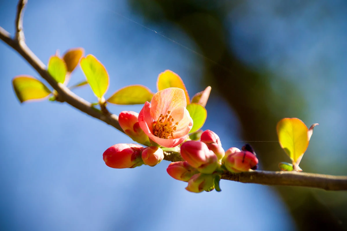 a71cd-9bdad-49699861251-aab6831a7b-o