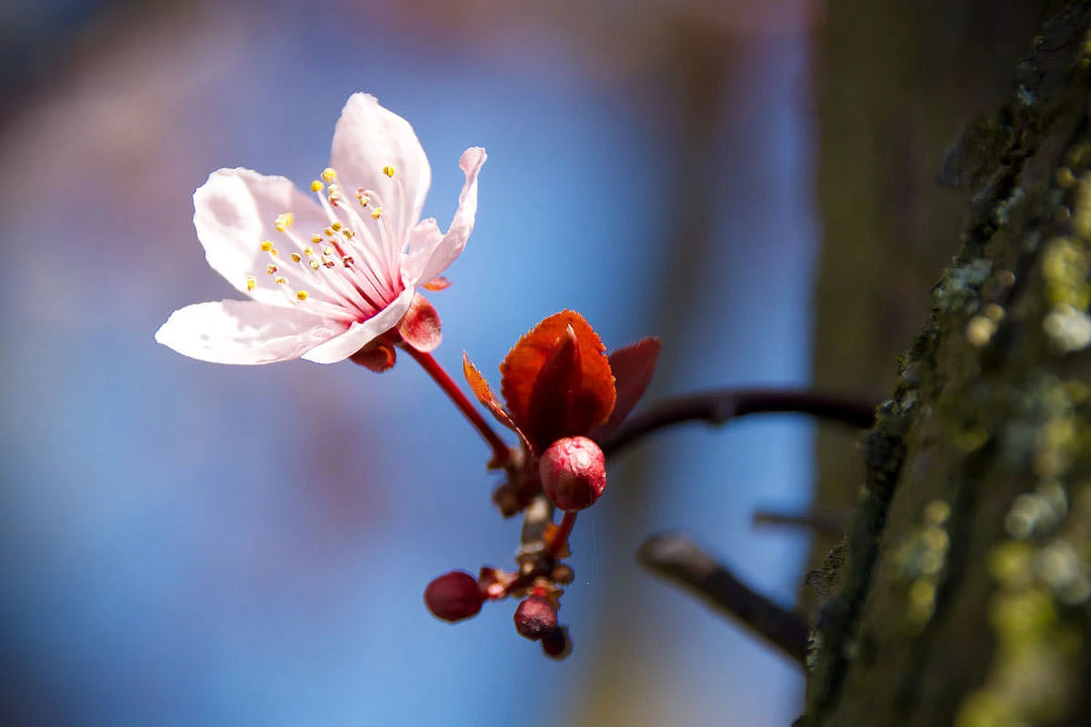 c6cdc-378ab-49699861186-a7e7be9d4e-o