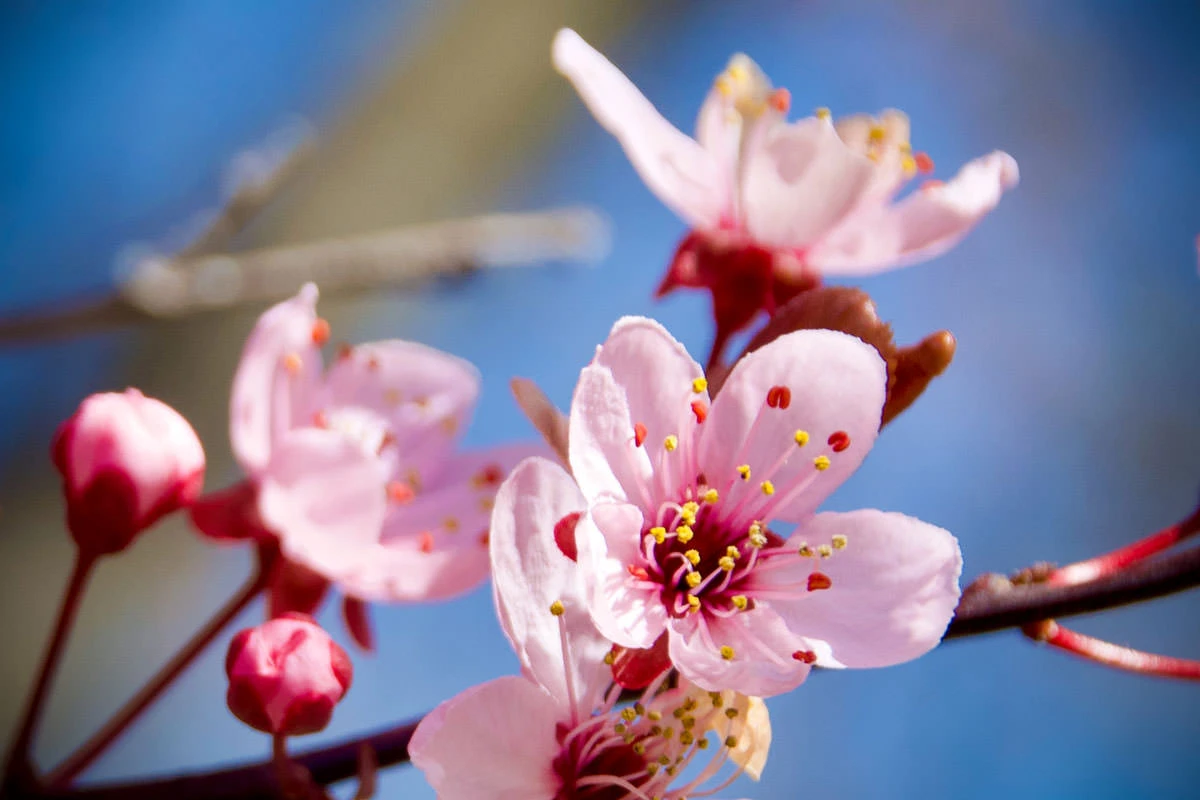 ec9f0-db827-49699330913-349e60e695-o