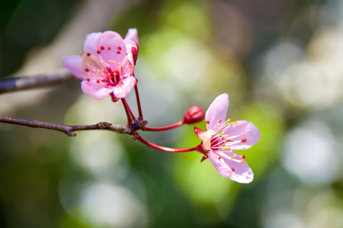 f6f6c-c1fda-49700172917-d1de560938-o