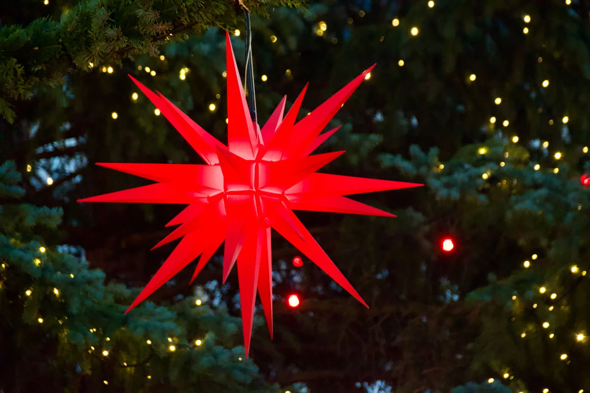 550dd-6bc00-49208066377-48b4679c68-o