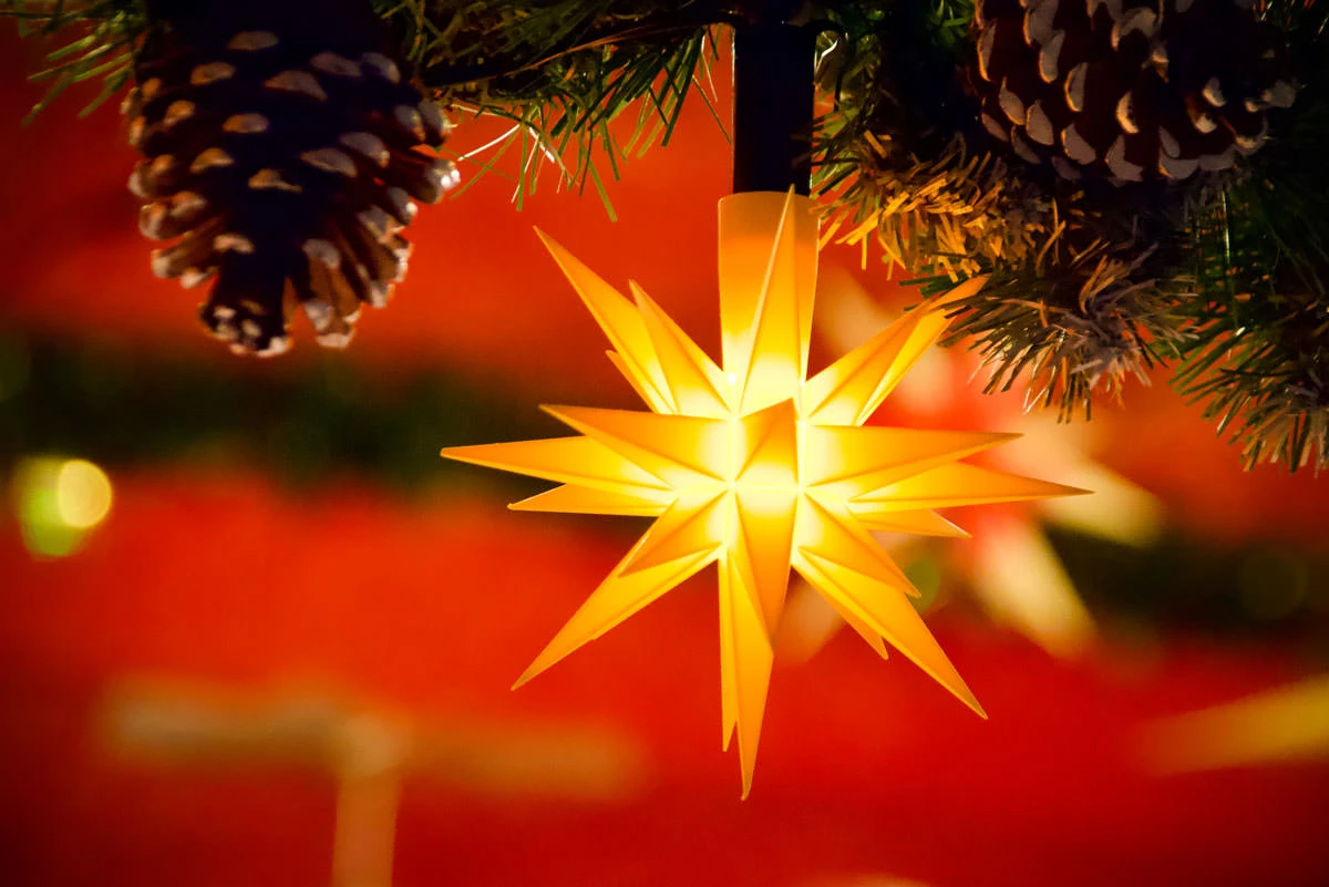 5cf49-d537e-49207362213-e3b427ce38-o