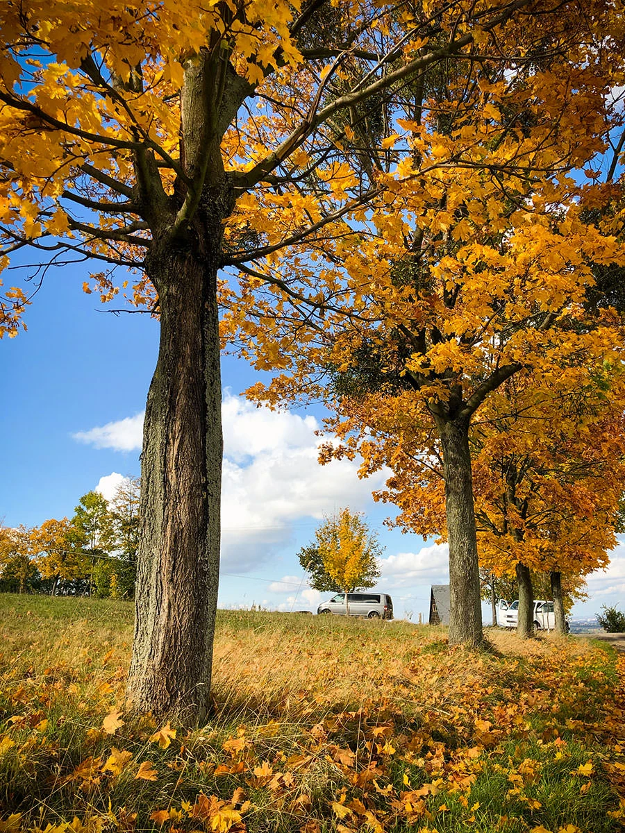 a2291-236ba-50526774203-35761e59e8-o