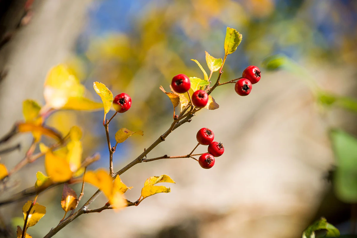 f2f7c-e84a9-50526774223-6f7ca83e58-o