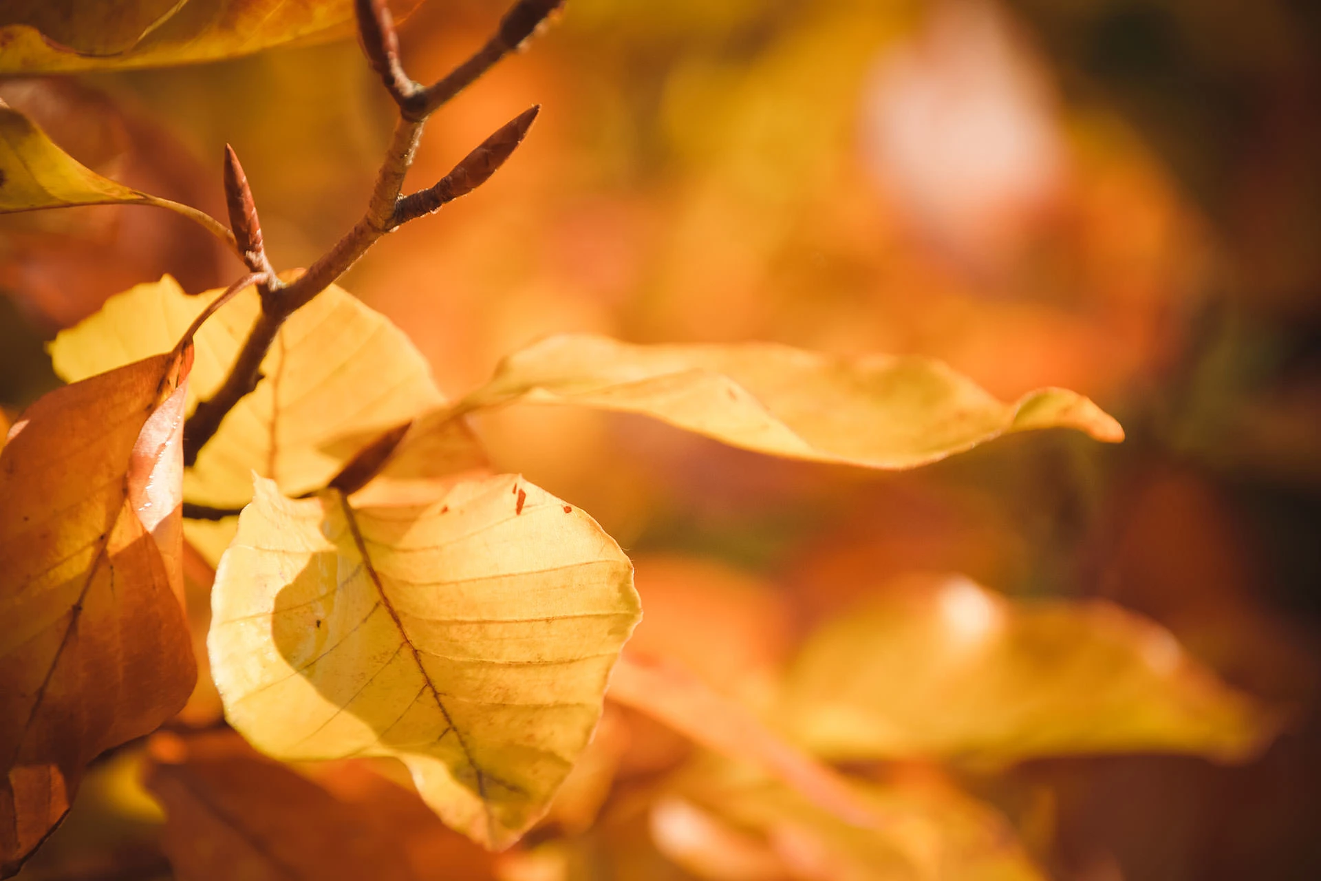 4a735-ef7aa-51634914948-04ca25205f-k