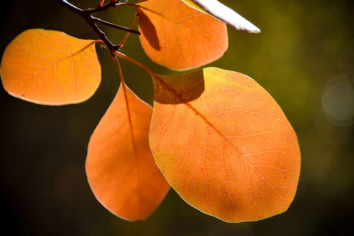 f88a6-d1e72-51628744895-4b3a8b53d8-o-1