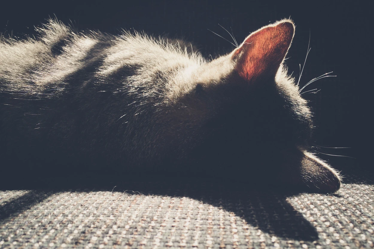 f35e6-9f599-36645414272-139dc5ac4d-o