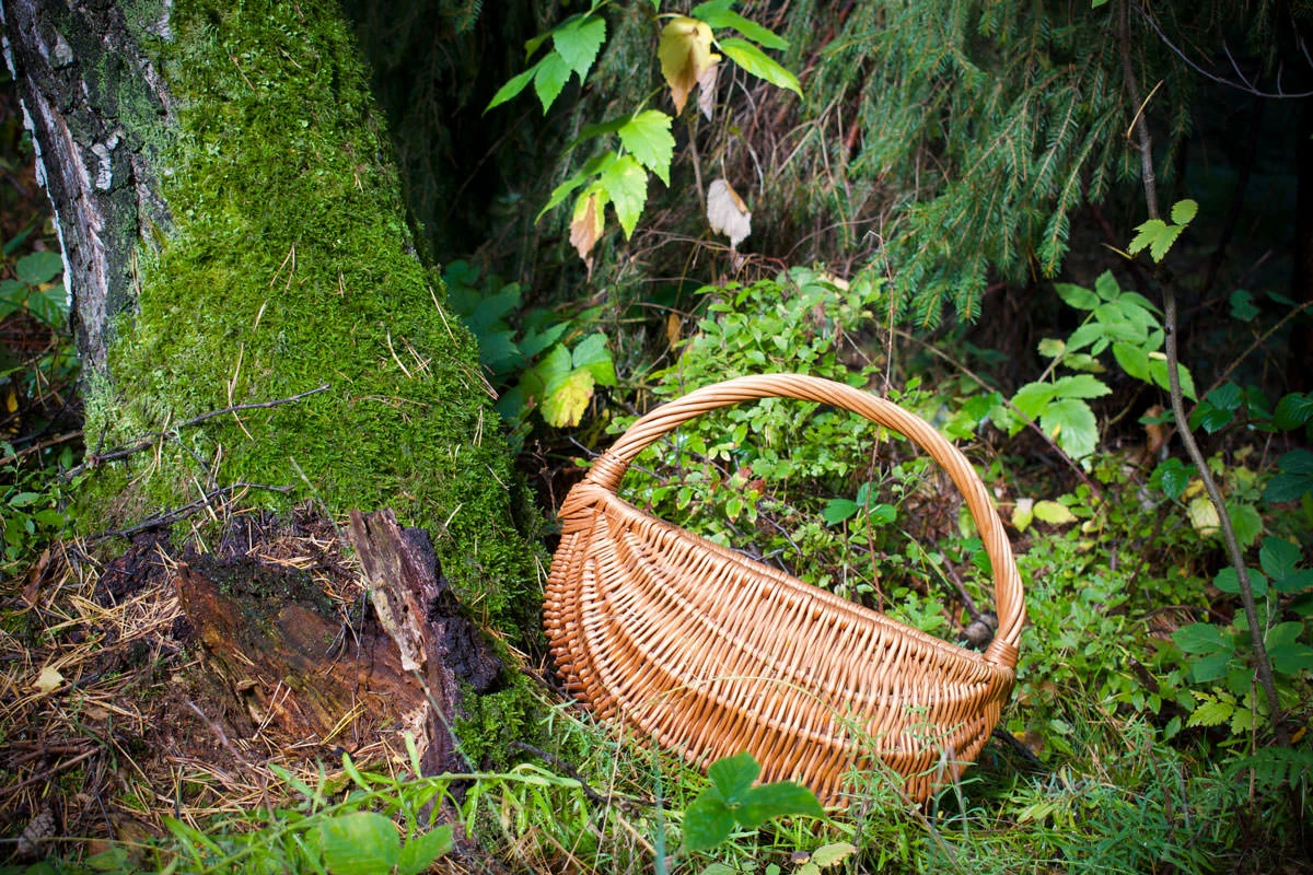 db88a-c3476-48853173786-e9b7eb3570-o