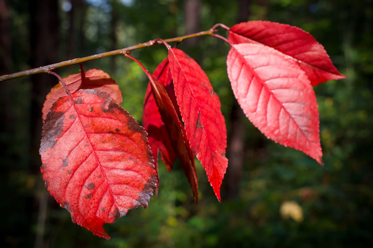 ffbb3-a7df5-48852814303-3c89327831-o