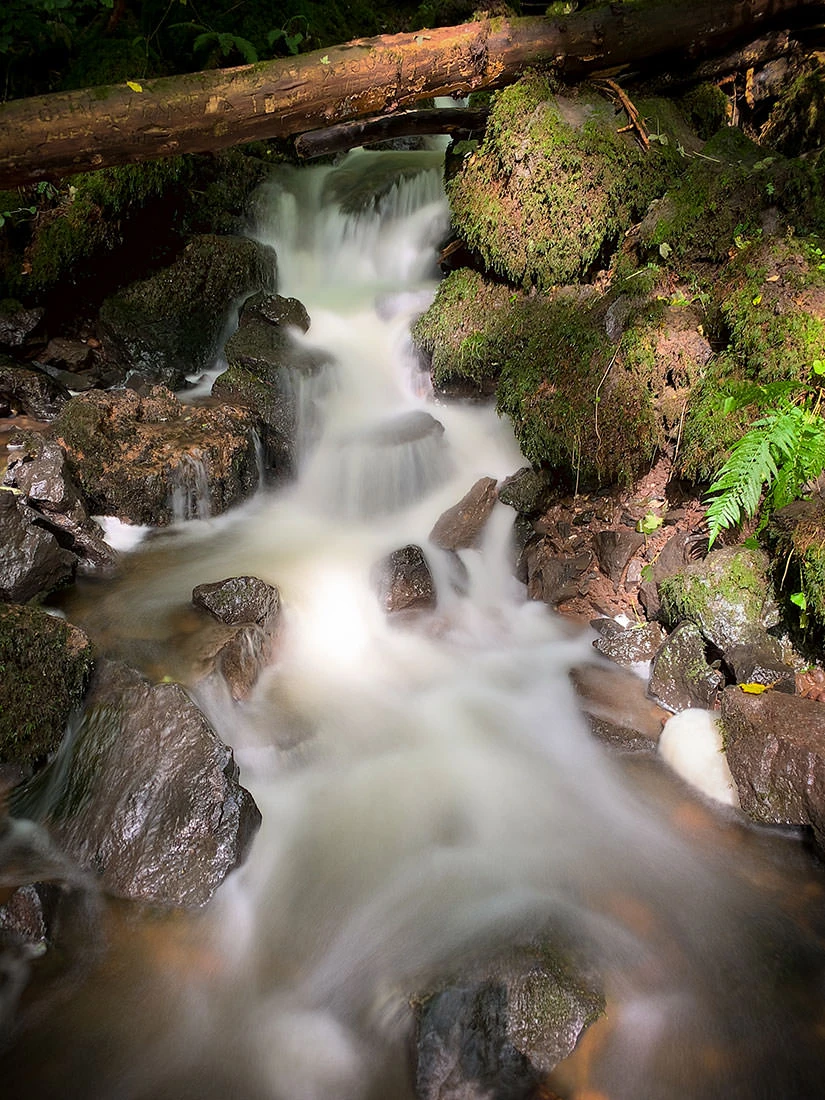 17df4-be351-51401858858-c418ab65b5-o