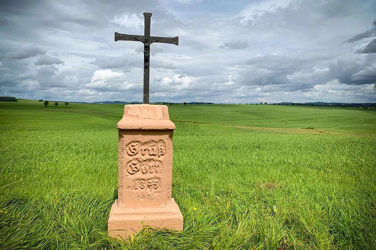 754a8-2011f-51401595451-441ef9f703-o