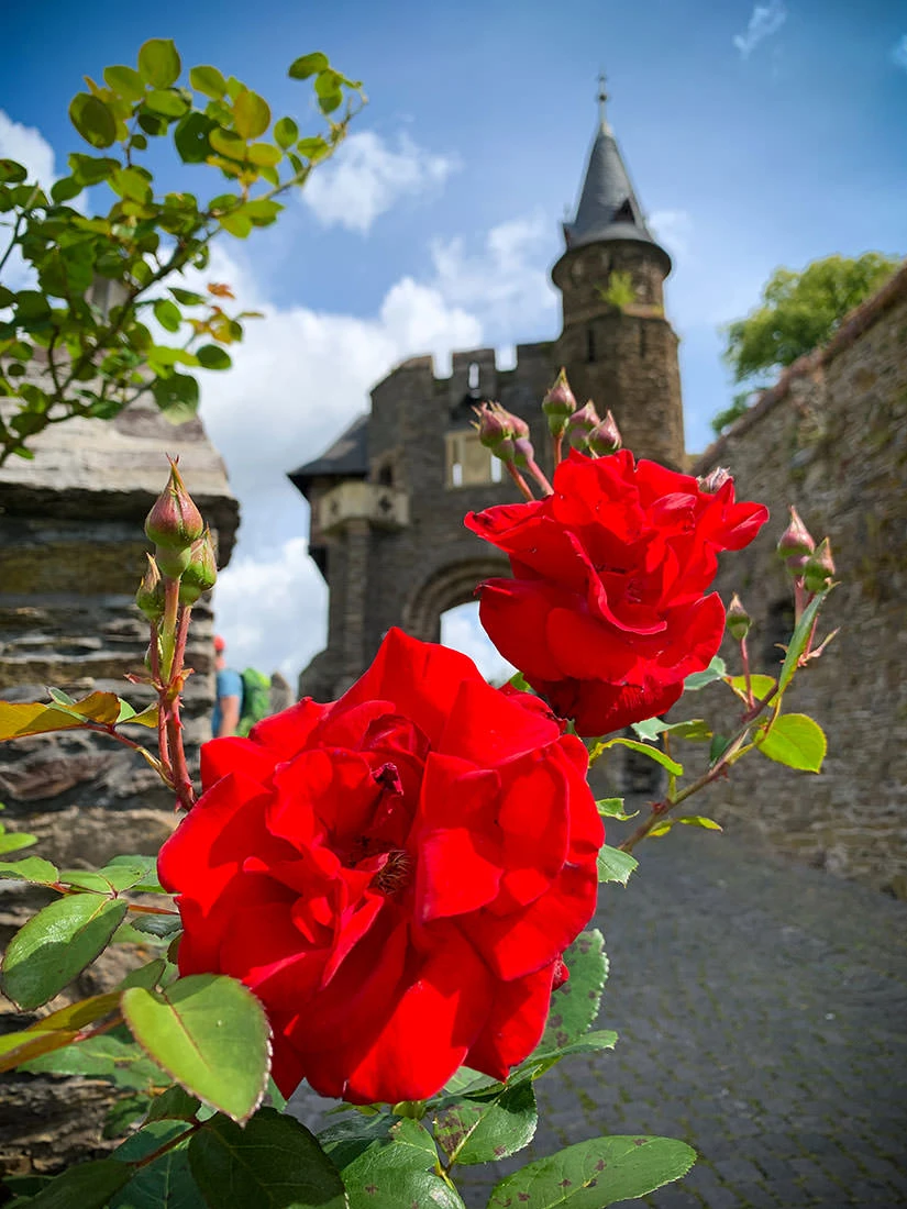 b4ec8-5e9eb-51402572995-311a0959c2-o