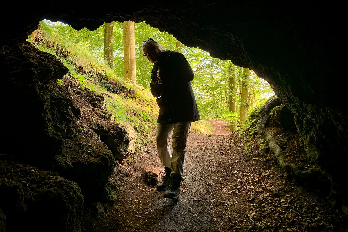 d79fd-156fe-51402573025-0d6cb47c6c-o