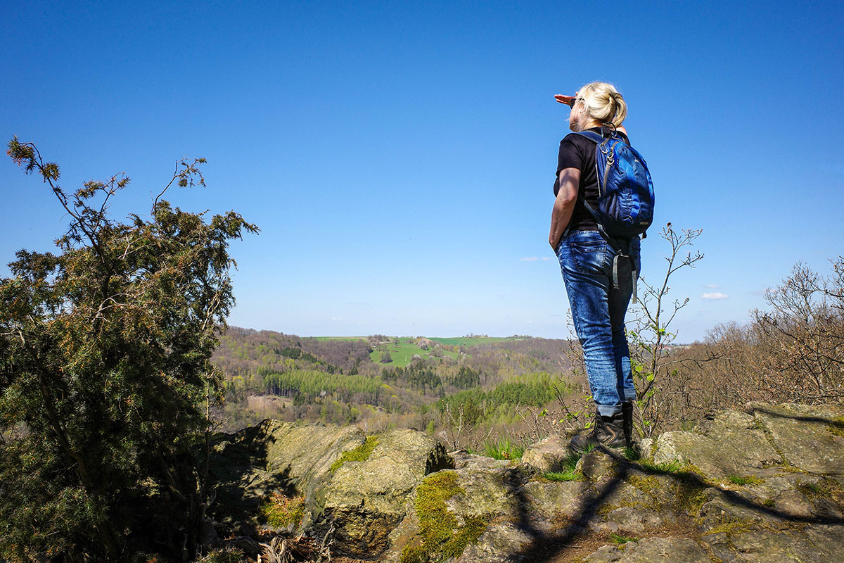 4563d-8babb-lederberg