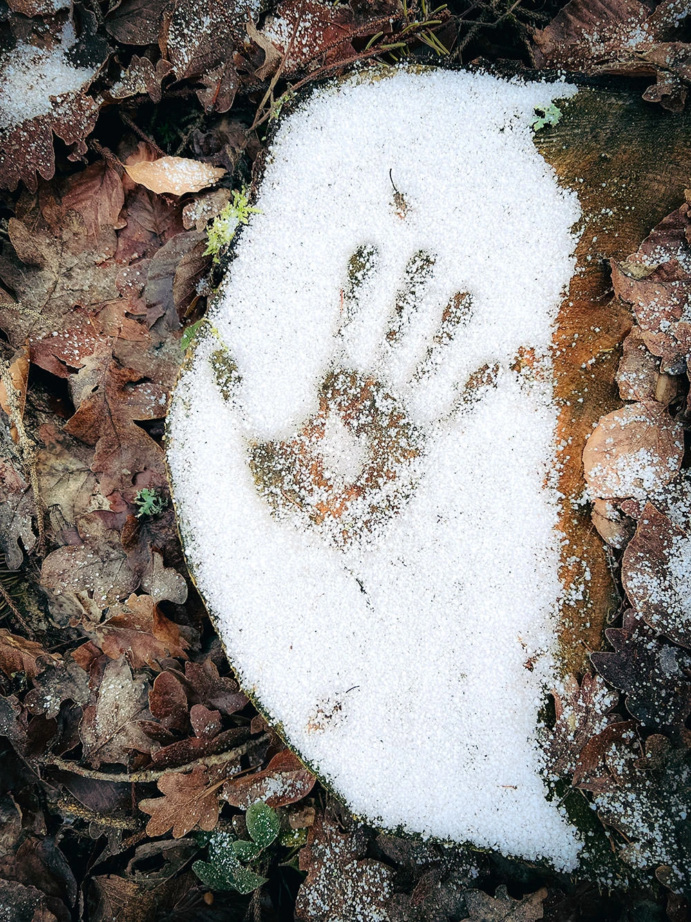 e8053-57f60-51768812634-38733451ce-o