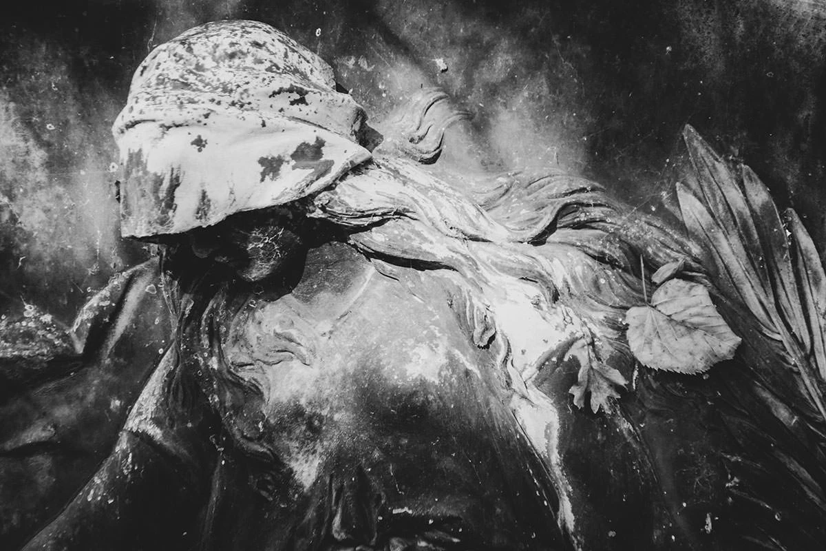 6c5d3-faef1-50596389736-f9a95fb712-o