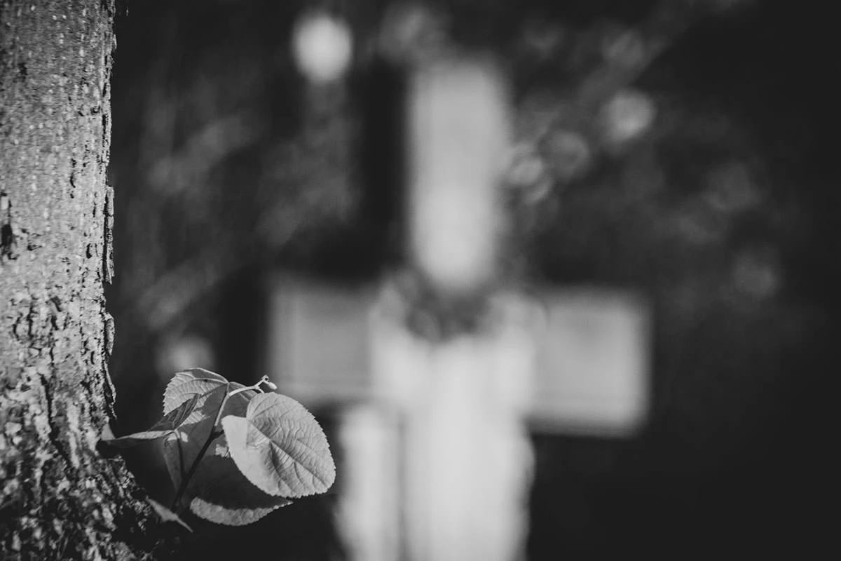 71723-5bb85-50595647583-45bf2c3a69-o