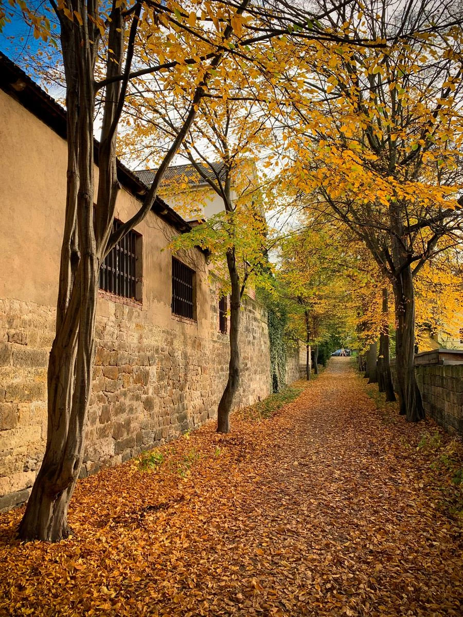 1a484-36751-50582943111-5a93c6a175-o