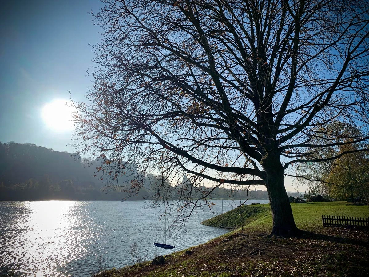 ee949-5ee12-50582943176-6c24318791-o