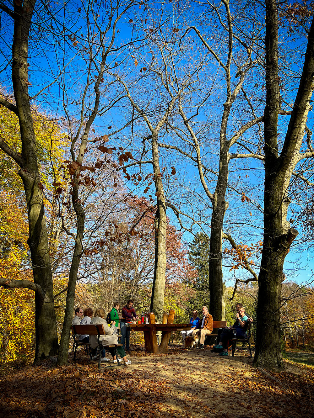 39104-dbbbc-52472567964-4ee53204d9-o