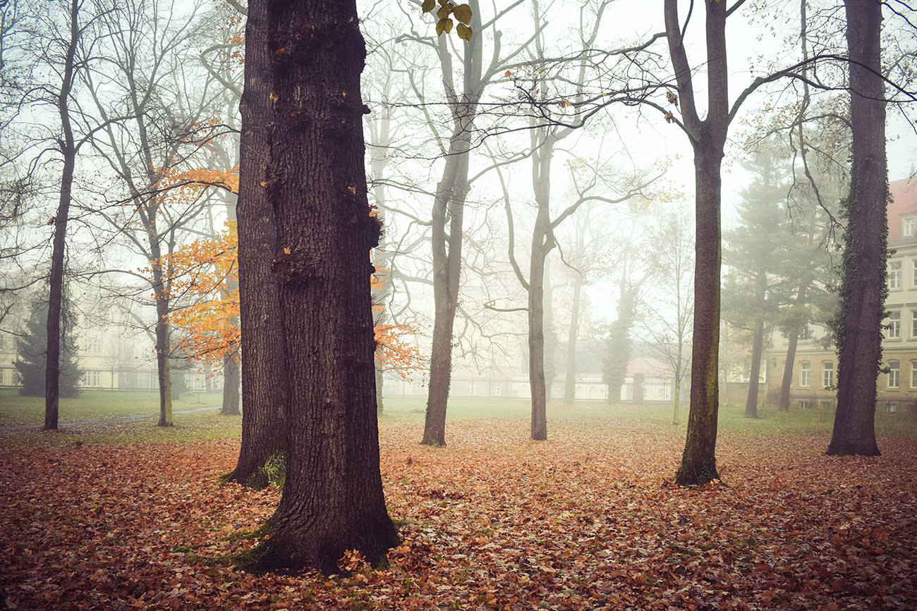 d7311-878a1-52524411924-4fc384a4ac-o