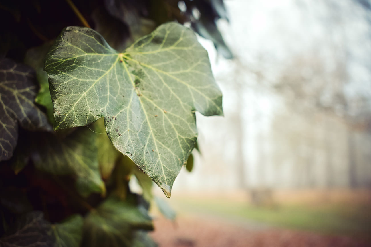 e344f-de1a1-52524128906-759a7a1688-o