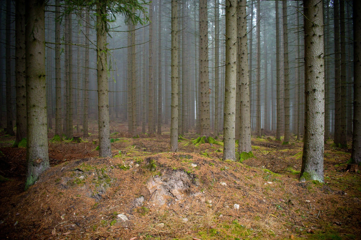 510a6-eed29-49115888473-b863e333fe-o