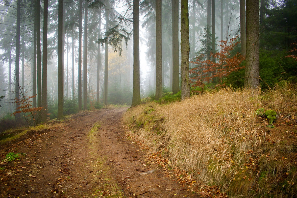 595cd-0a7c2-49116580702-b68f225591-o