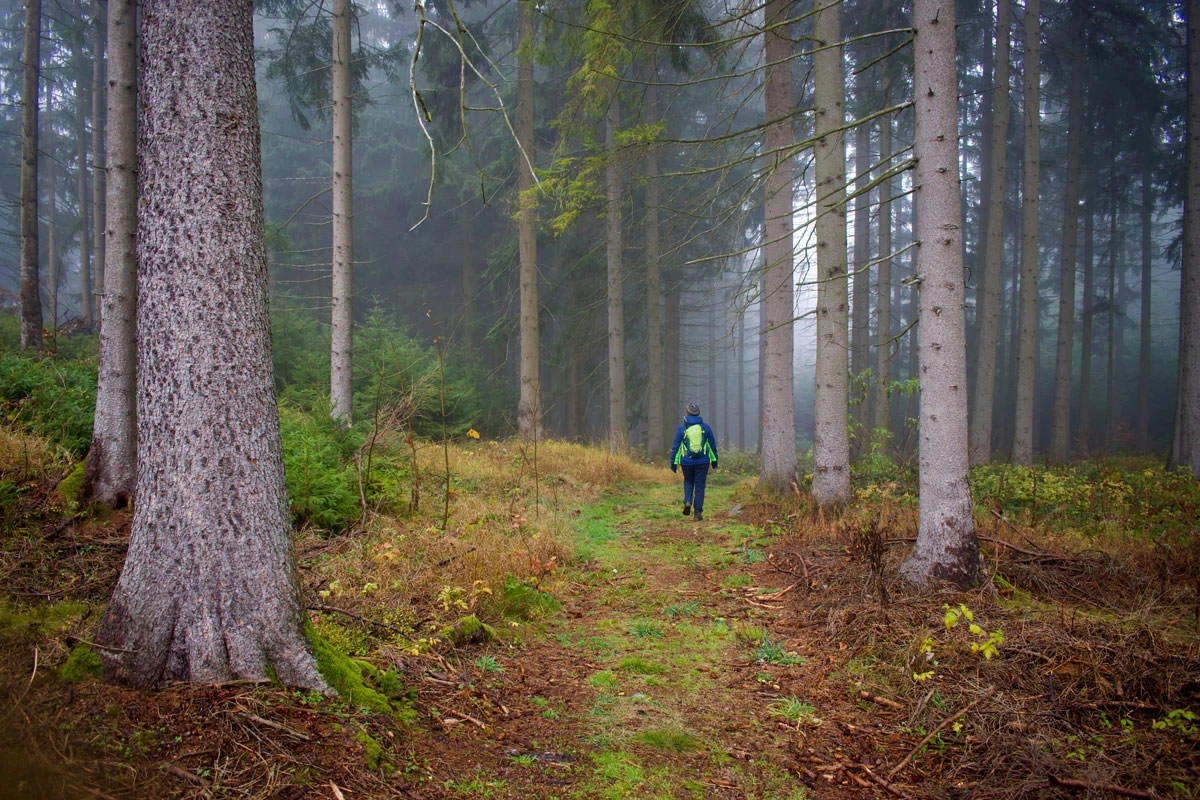 e2f9c-b2aed-49116391056-e7533a139f-o