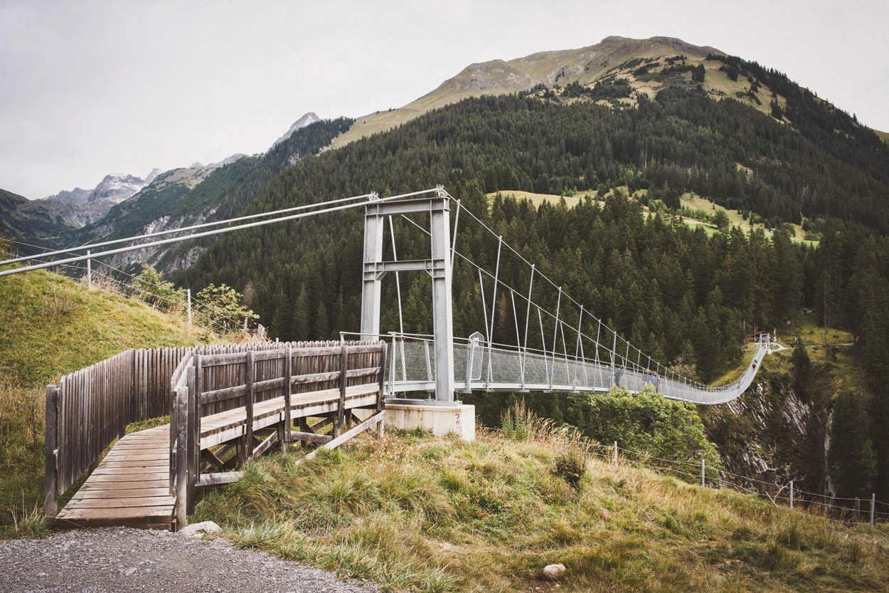 0f696-03b5d-36509560654-3a3677dc66-o