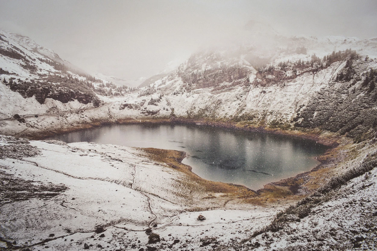 4527d-26827-36964971380-01e949f3ae-o