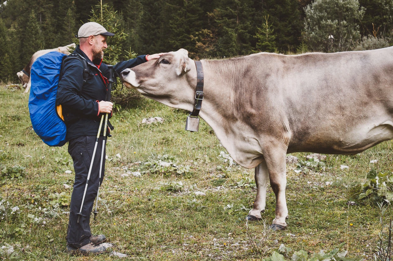 556dd-8bc26-37190059052-9d91b49062-o