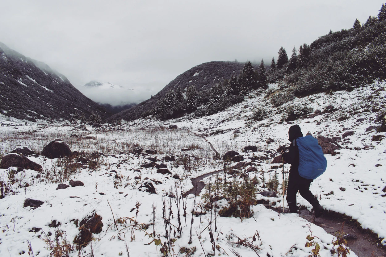 7921e-989f9-37228236331-e310117820-o