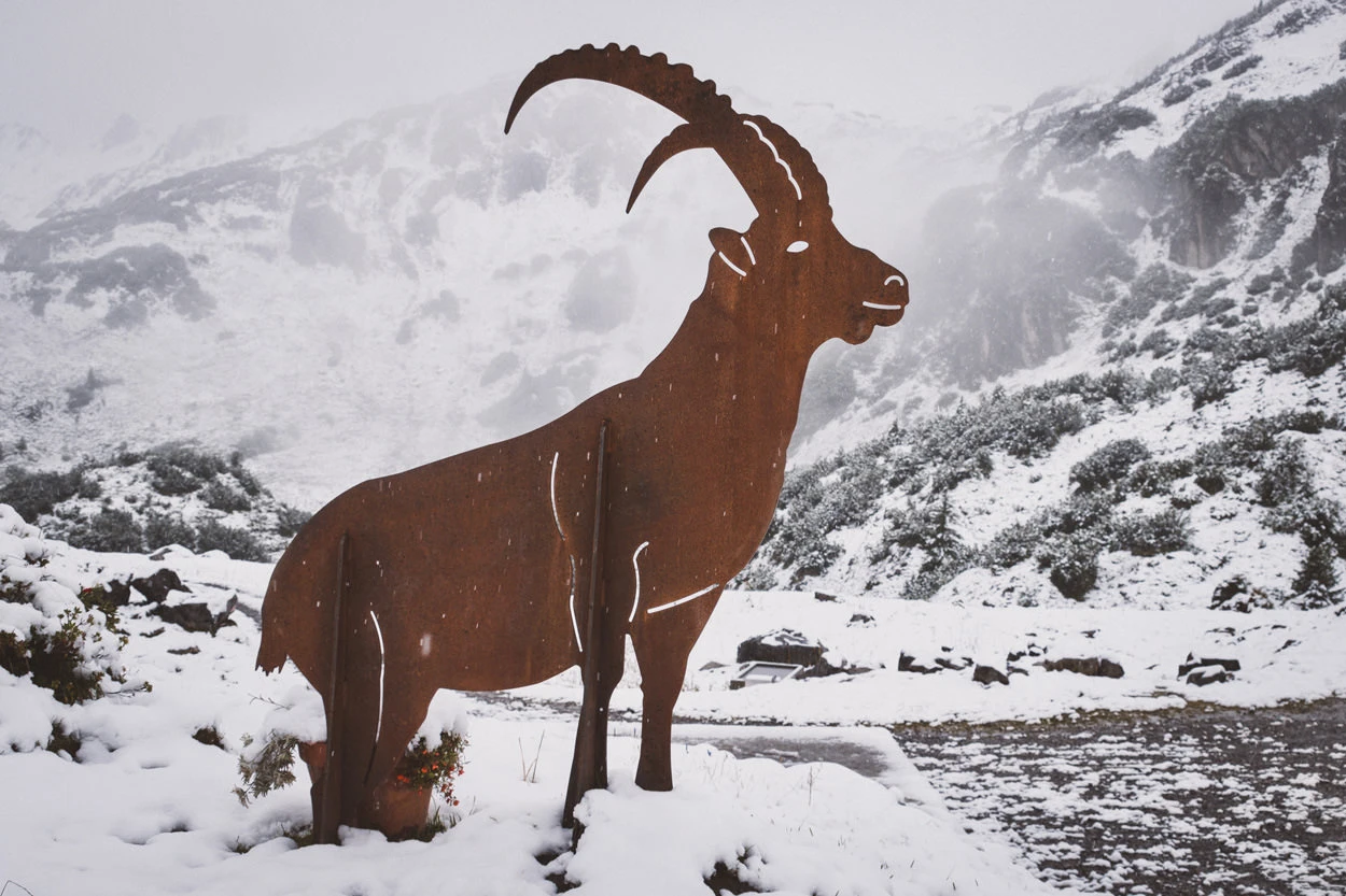 c27c9-f02eb-36964971280-47be09aae4-o