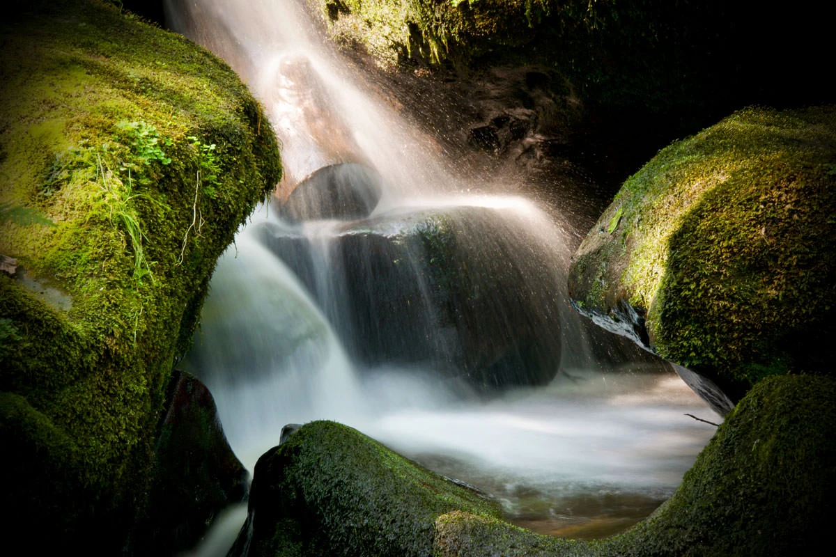 51680-91252-48624646257-974cc1828e-o