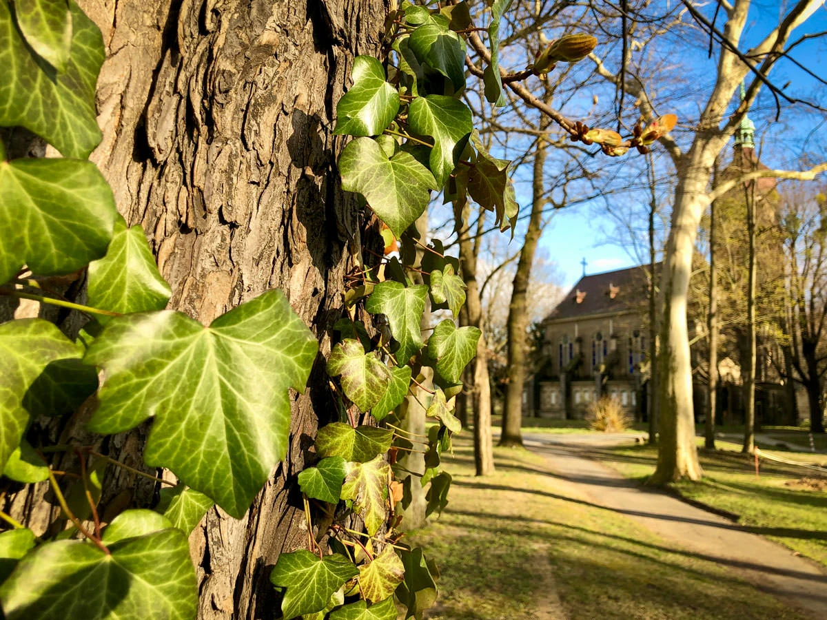 0748c-62c13-49726297856-72a0e1ddb8-o