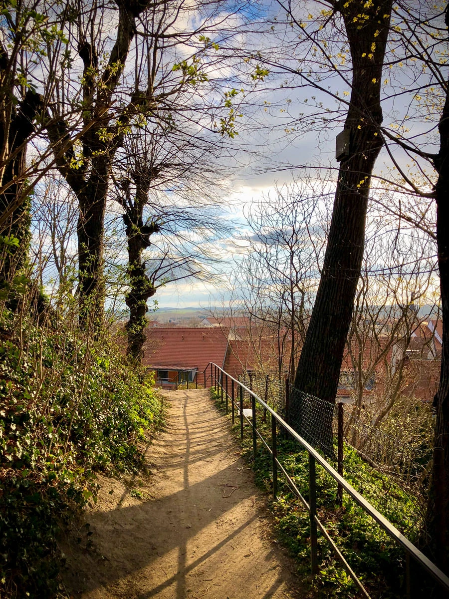 1387a-5d9de-49726297751-ccdd2d4ba5-o