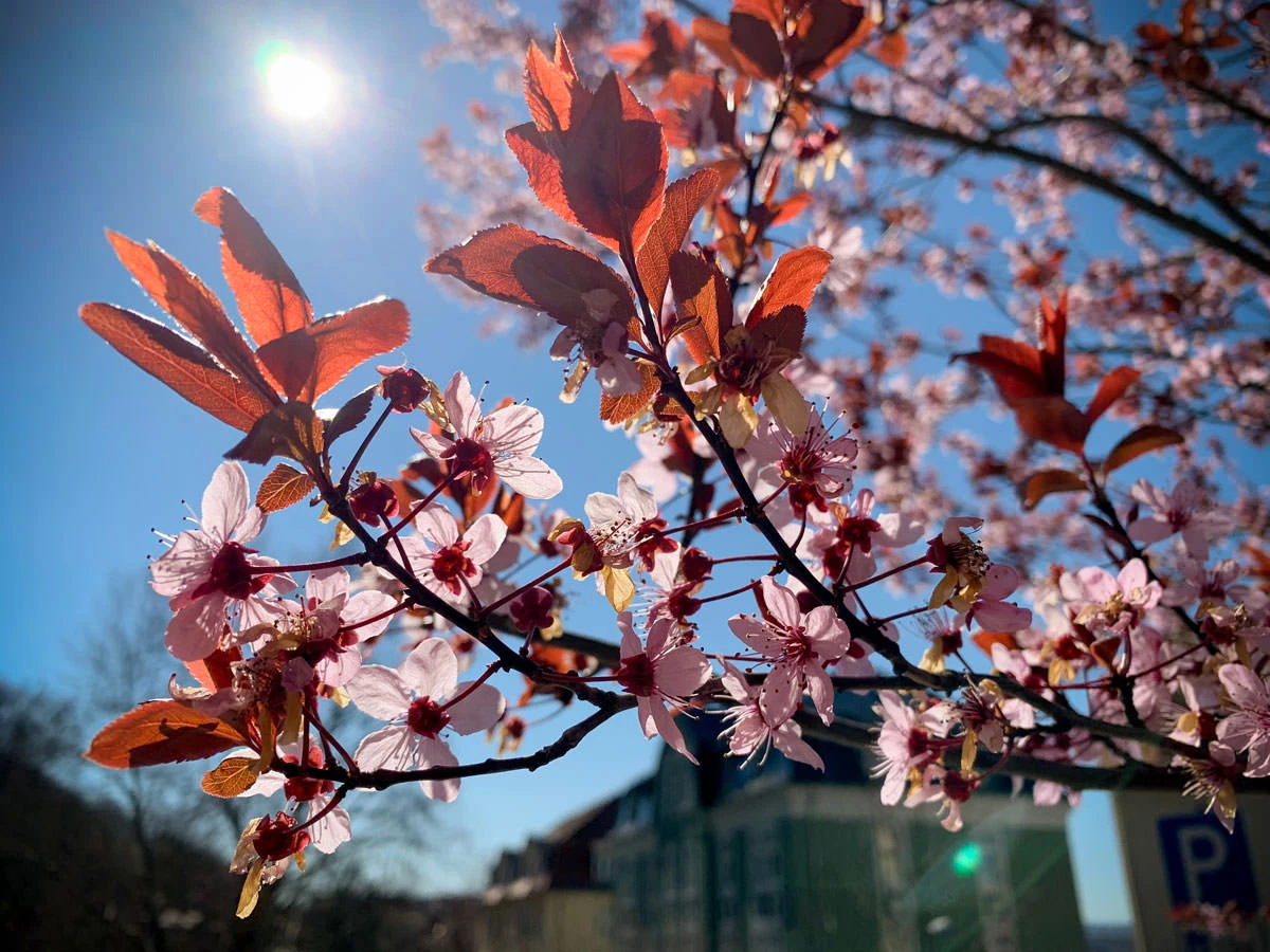 5f47e-d79b6-49726610432-0d8c2bec43-o