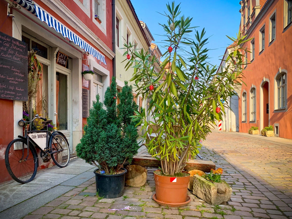 8bc06-5cbfe-49725752098-b7ccc70319-o