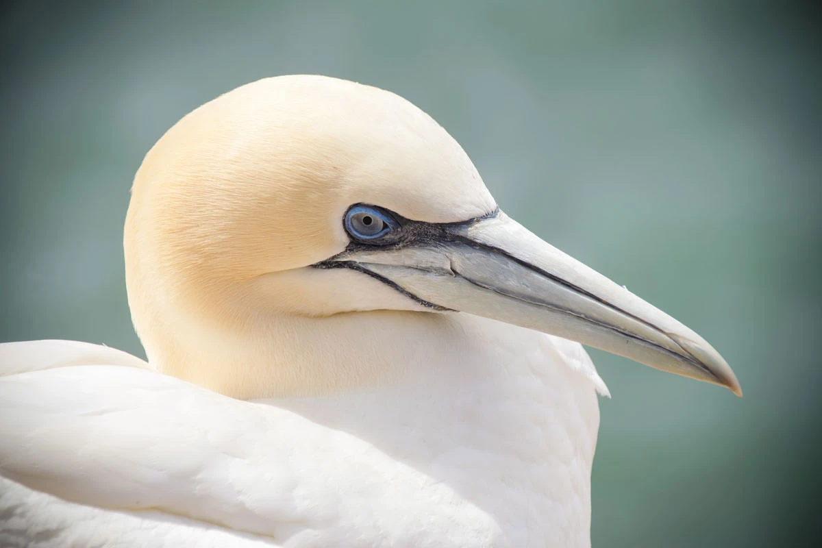 03146-e10fe-50093568843-02374f185b-o