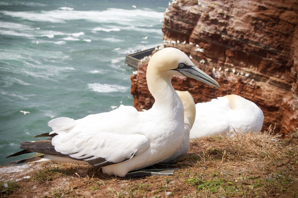 10991-bb3ea-50093568848-6e03086ace-o