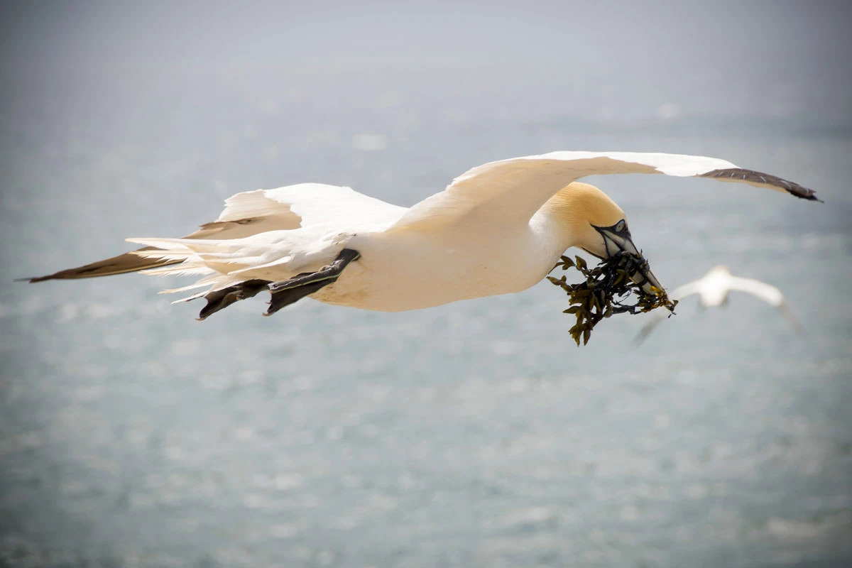 48ba0-7b661-50093568713-ff387fd3e0-o