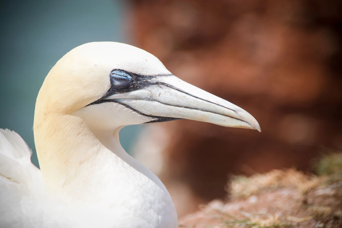 a7df5-5a1f6-50094384577-117258880c-o