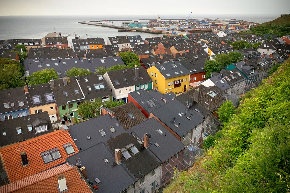 c41c1-e1af6-50094384497-4149858e8d-o