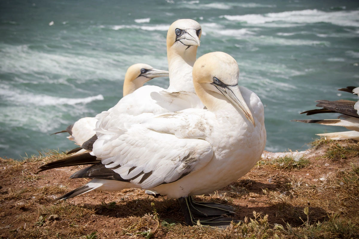 f3cba-def86-50094151476-d8b87162b8-o