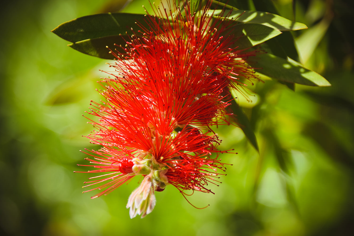 e6aad-2f362-52086732193-1462ee2653-o