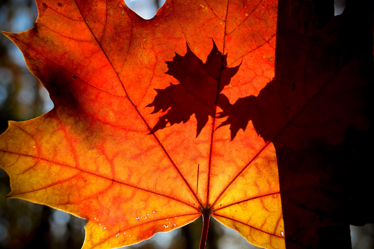 8d8fb-59fd7-52503211932-89dffc18d7-o