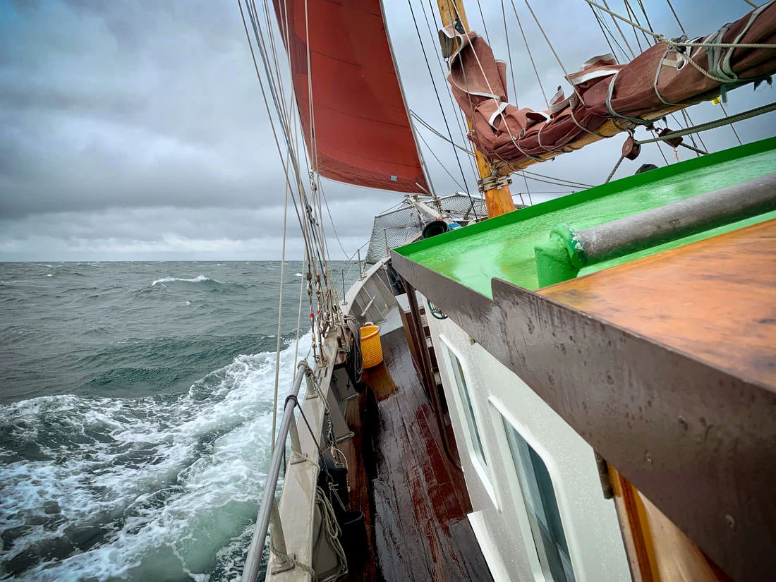 1629d-f258e-46846648845-42fe5c0121-o