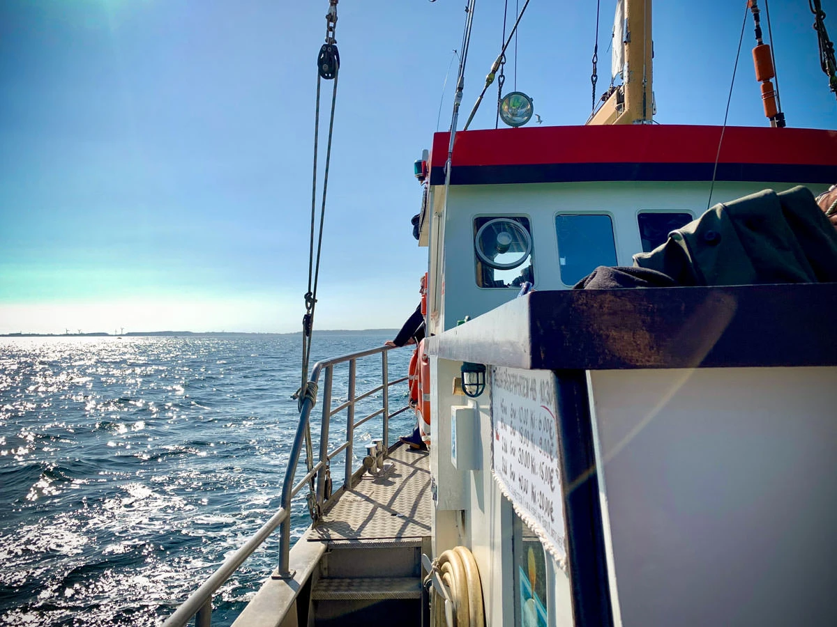 8c101-77639-46846648775-945704e40e-o