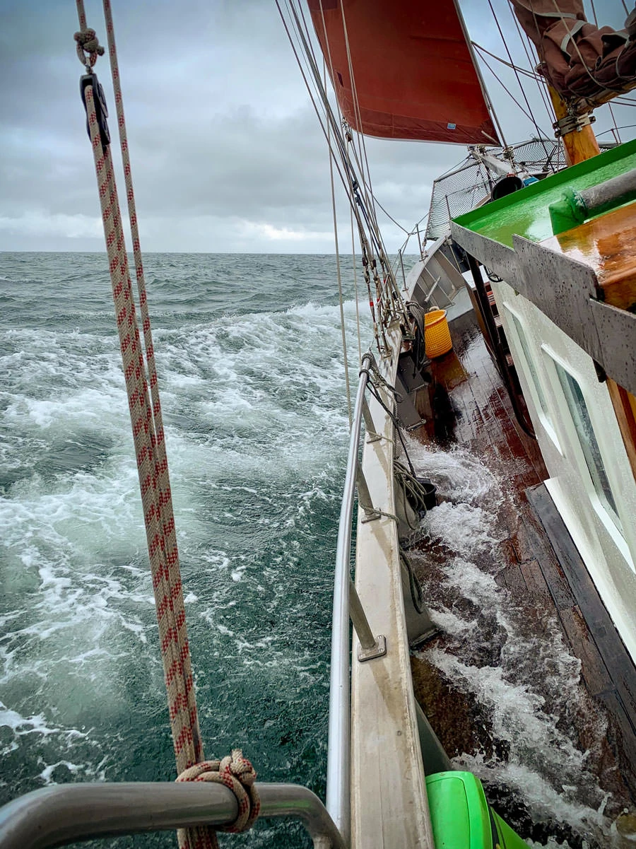 b33b8-d95c3-46846649225-afcf48ebf1-o